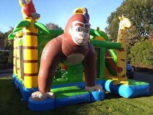 AAP-SPRINGKUSSEN-LEMMER-JOURE-HEERENVEEN-SNEEK-MULTIPLAY-HUREN-AAPJE-MONKEY-KUSSEN-glijbaan