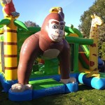 AAP-SPRINGKUSSEN-LEMMER-JOURE-HEERENVEEN-SNEEK-MULTIPLAY-HUREN-AAPJE-MONKEY-KUSSEN-glijbaan
