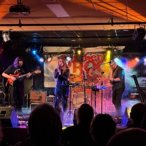 bands live versterking licht geluid micorfoons geluidsset rookmachine showlicht ledparren scanners verhuur getup joure friesland