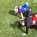 kamelenrace zeskamp meerkamp teams wedstrijd water spel teambuilding huren verhuur getup joure lemmer sneek heerenveen friesland