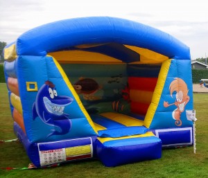 springkussen-dieren-vissen-water-vis-overdekt-kinderen-verhuur-huren-getup-scharsterbrug-feestje-tuin