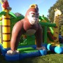 AAP SPRINGKUSSEN LEMMER JOURE HEERENVEEN SNEEK MULTIPLAY HUREN AAPJE MONKEY KUSSEN glijbaan