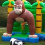 AAP mulitplay groot SPRINGKUSSEN LEMMER JOURE HEERENVEEN MULTIPLAY HUREN AAPJE MONKEY KUSSEN glijbaan boven wolvega noordwolde mildam friesland rottum oudehaske