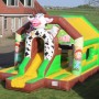 BOERDERIJ KOE BOER SPRINGKUSSEN HEERENVEEN