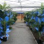 TENT-PARTY-PARTYTENT-HUREN-VERHUUR-LEMMER-JOURE-HEERENVEEN-SNEEK-GROU-AKKRUM-BOLSWARD-HUREN-getup-verhuur-scharsterbrug-friesland-BANT-AANKLEDING-PLANTEN