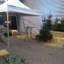 TENT-PARTY-PARTYTENT-HUREN-VERHUUR-LEMMER-JOURE-HEERENVEEN-SNEEK-GROU-AKKRUM-BOLSWARD-HUREN-getup-verhuur-scharsterbrug-friesland-BANT-ENTREE-KERSTMARKT