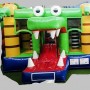krokodil mini springkussen luchtkussen kleine kinderen glijbaan verhuur heerenveen oudeschoot mildamvoorzijde