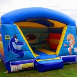 springkussen-dieren-vissen-water-vis-overdekt-kinderen-verhuur-huren-getup-scharsterbrug-feestje-tuin