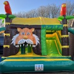 tijger-glijbaan-dak-palmboom-lion-getup-huren-verhuur-joure-sneek-leeuwarden-heerenveen-makkum-friesland-drachten-wolvega