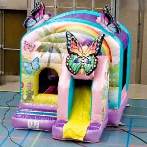 vlinder-glitter-vlindertuin-paars-meisjes-regenboog-klein-glijbaan-springkussen-huren-getup-joure-lemmer-sneek-heerenveen-friesland