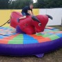 RODEOPAARD-STIER-TREKPAARD-SPRINGKUSSEN-LEMMER-JOURE-HEERENVEEN-SNEEK-GROU-AKKRUM-BOLSWARD-HUREN-getup-verhuur-scharsterbrug-friesland
