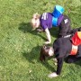kamelenrace zeskamp meerkamp teams wedstrijd water spel teambuilding huren verhuur getup joure scharsterbrug lemmer makkum drachten heerenveen wolvega friesland sneek bolsward wommels grou akkrum workum franeker leeuwarden