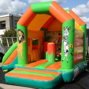 MADAGASKAR LEEUW ZEBRA SPRINGKUSSEN LEMMER JOURE HEERENVEEN SNEEK HUREN getup verhuur scharsterbrug friesland