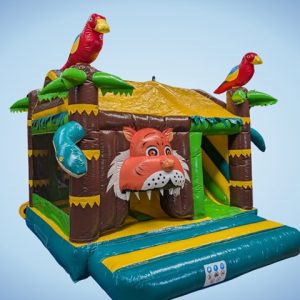 tijger papegaai palmboom safari bos natuur jungle joure lemmer heerenveen balk sneek wolvega leeuwarden